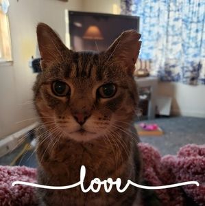 Meet your Posher, Sheila